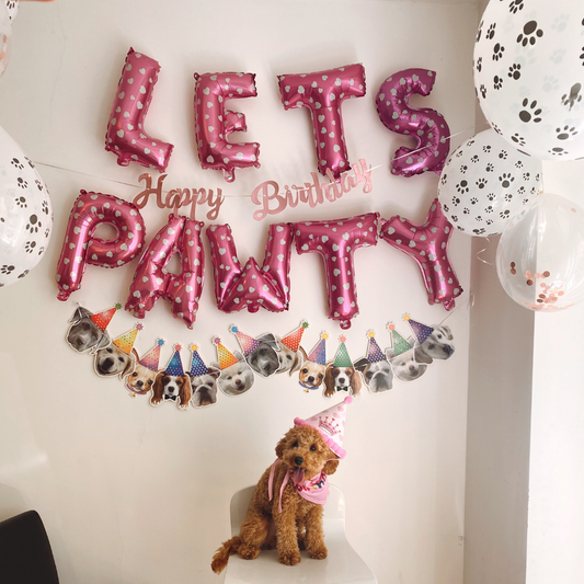 Creative Birthday Party Ideas for Your Pet