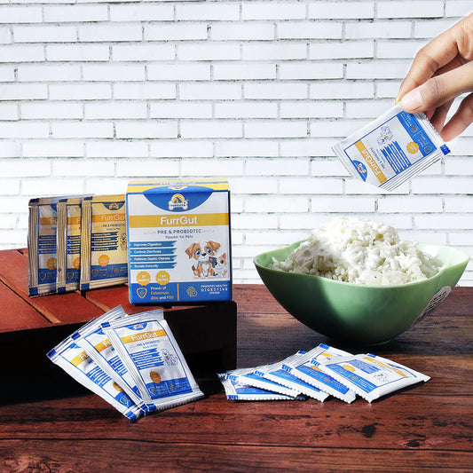 How Pre and Probiotic Powders Can Improve Your Pet's Digestive Health