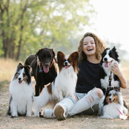 Interpreting Your Pet's Behaviour: Understanding the Language of Love and Instinct