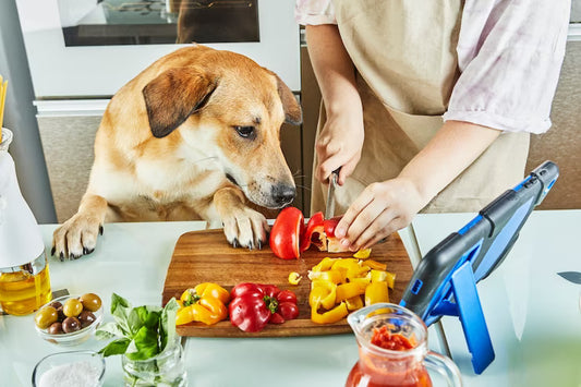 The Vital Role of a Vegetarian Diet in Pet Nutrition