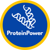 Badge 4