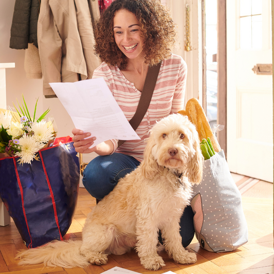 The Best Pet Insurance Plans and Veterinary Care Options Available