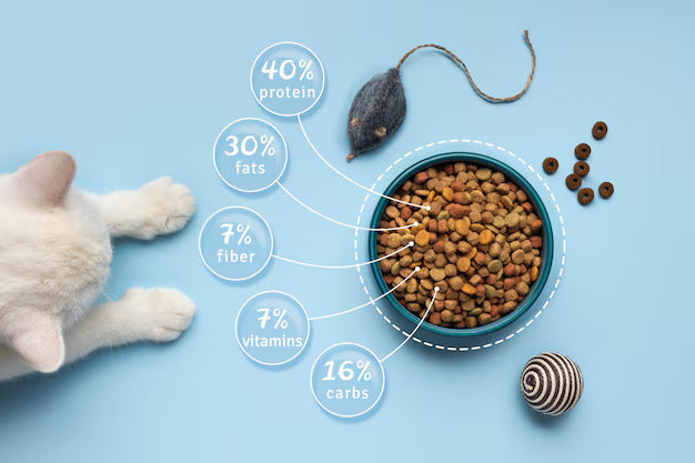 The Science Behind Pre and Probiotics: Unlocking the Benefits of Furvitta Pre and Probiotics Powder
