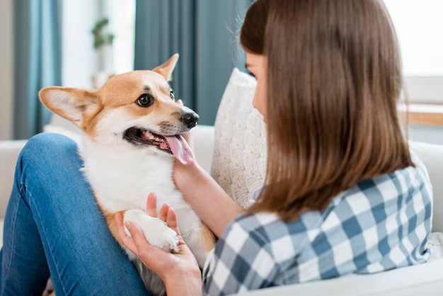 Furrvita Special Pre and Probiotic Powder: A Healthy Boost for Your Furry Friends