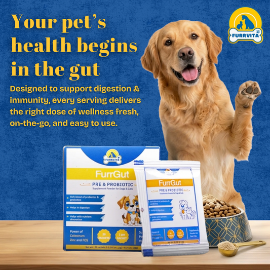 Bundle 4 – The New Pet Parent Kit